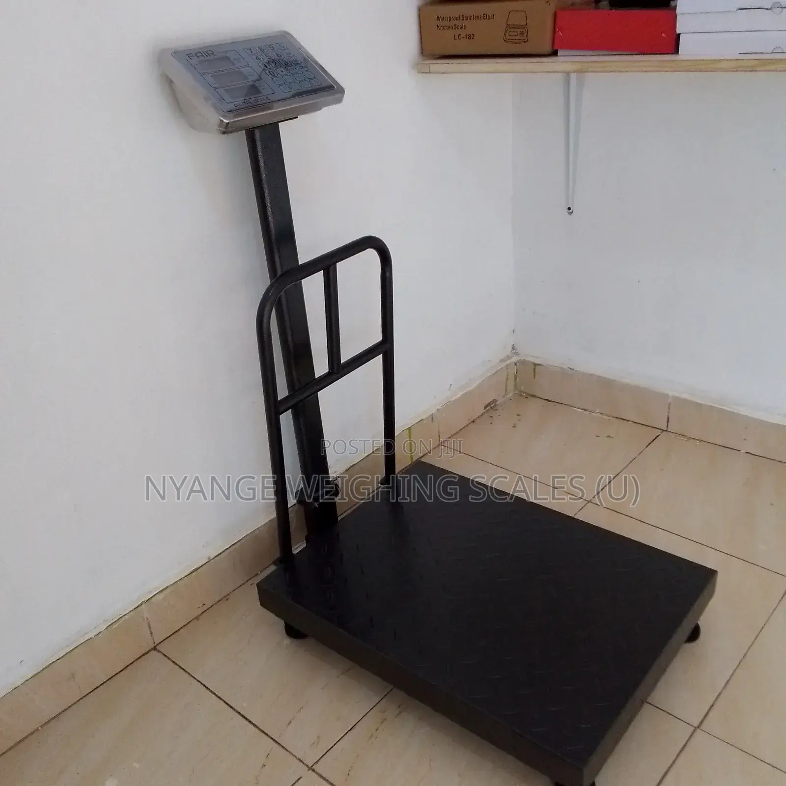 Platform Weighing Scale 350kg Food Digital Weighing Scale