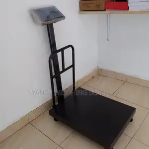 Platform Weighing Scale 350kg Food Digital Weighing Scale