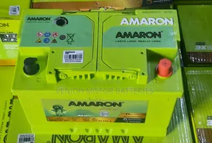 Din74 Amaron Car Battery
