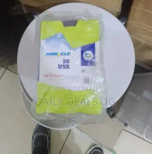 Plastic Ice Bricks