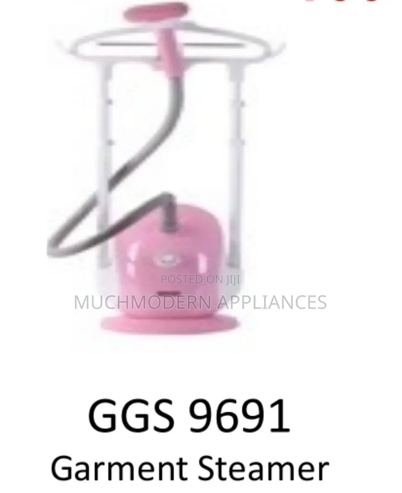 GGS 9691
Garment Steamer