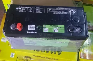 N100 Amaron Maintenance Free Car Battery