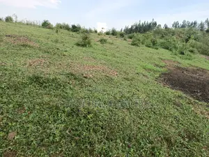 18acres of Land on Sale Located in Bugaaki Sub County-Kasa