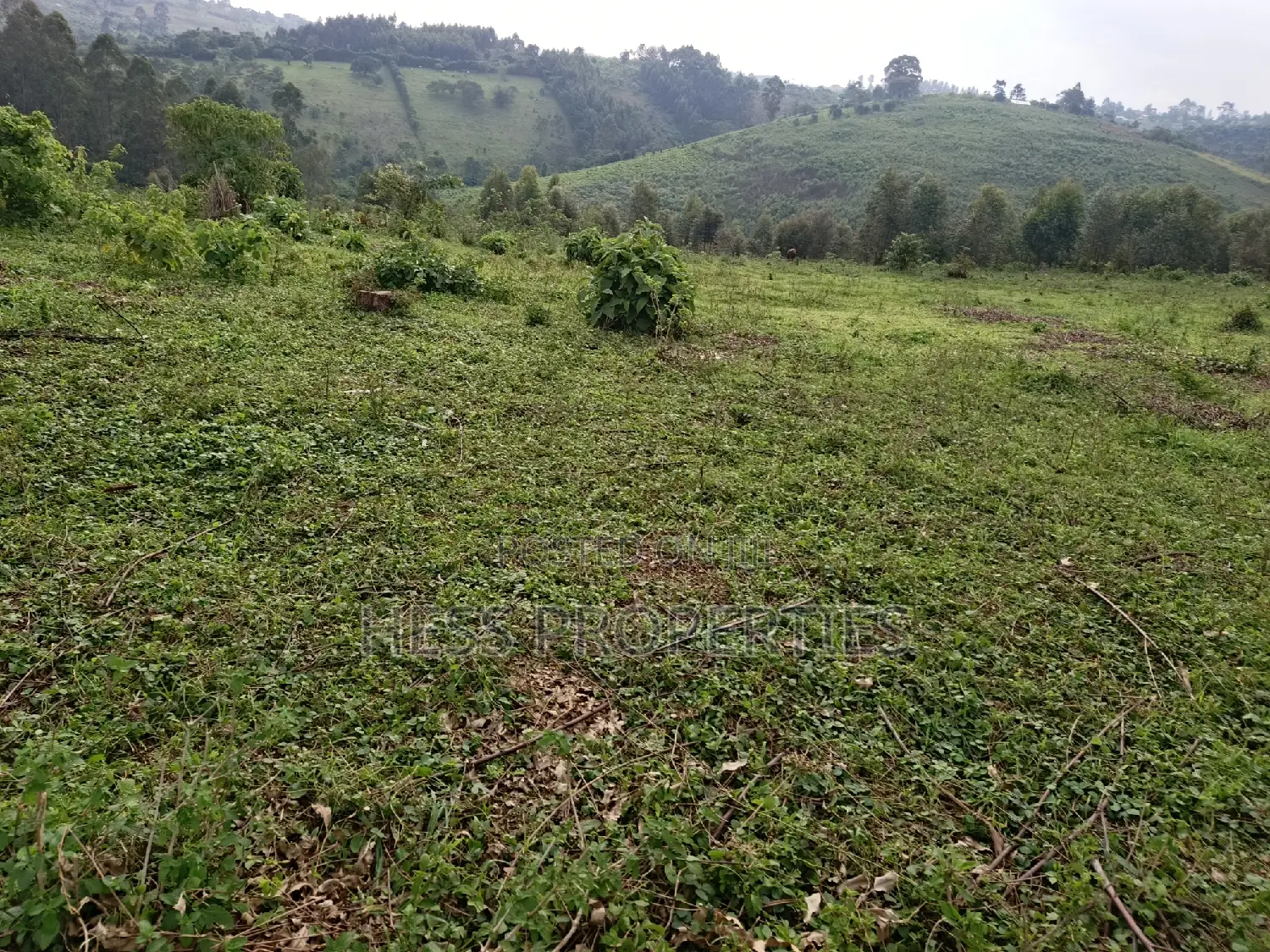 18acres of Land on Sale Located in Bugaaki Sub County-Kasa