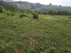 18acres of Land on Sale Located in Bugaaki Sub County-Kasa