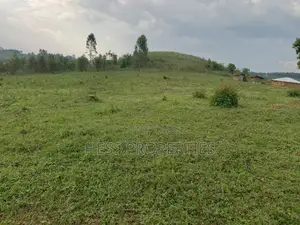 18acres of Land on Sale Located in Bugaaki Sub County-Kasa
