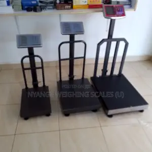 LCD/LED Display Rhino350 Platform Scale 300kg/100g