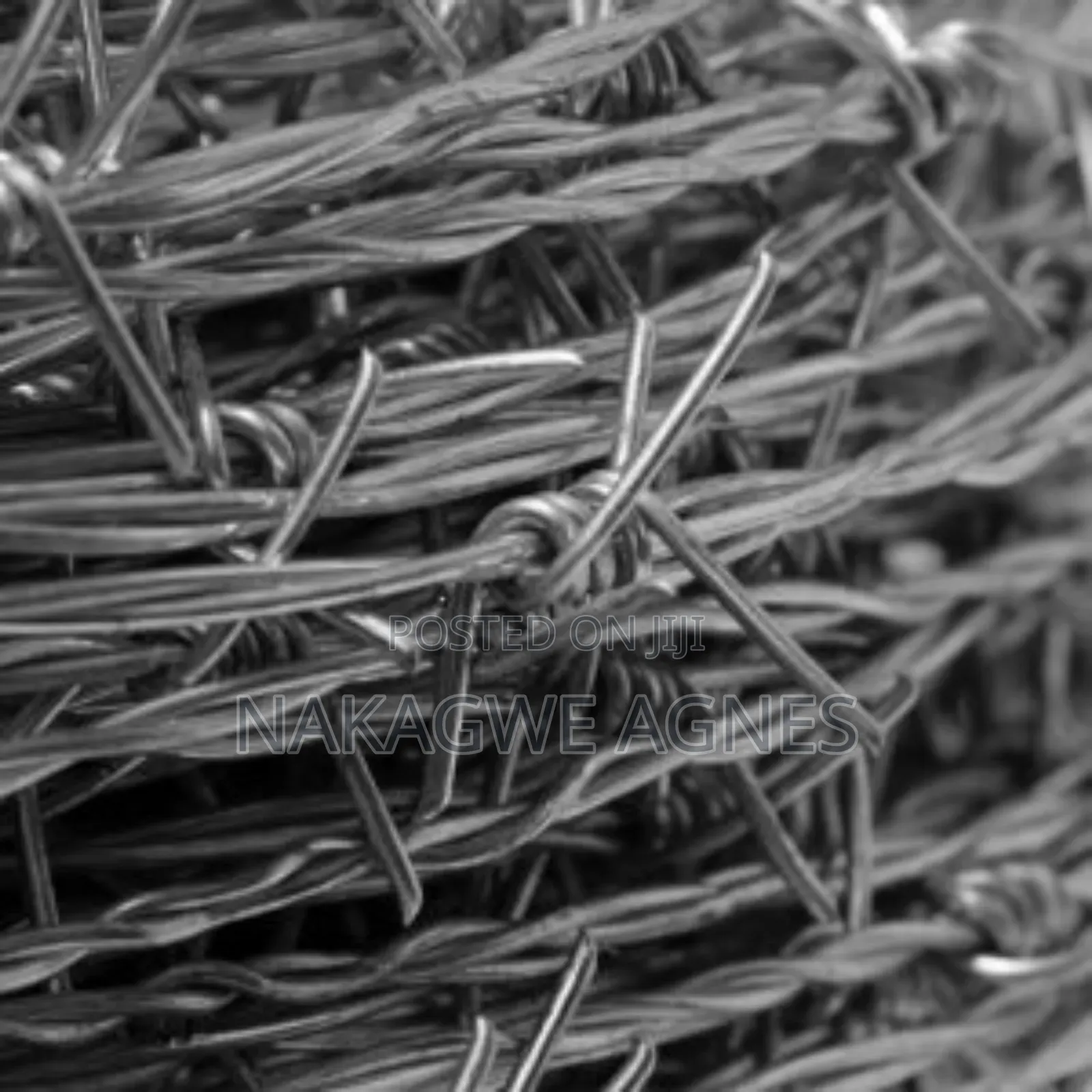 Barbed Wire (600 Meters)