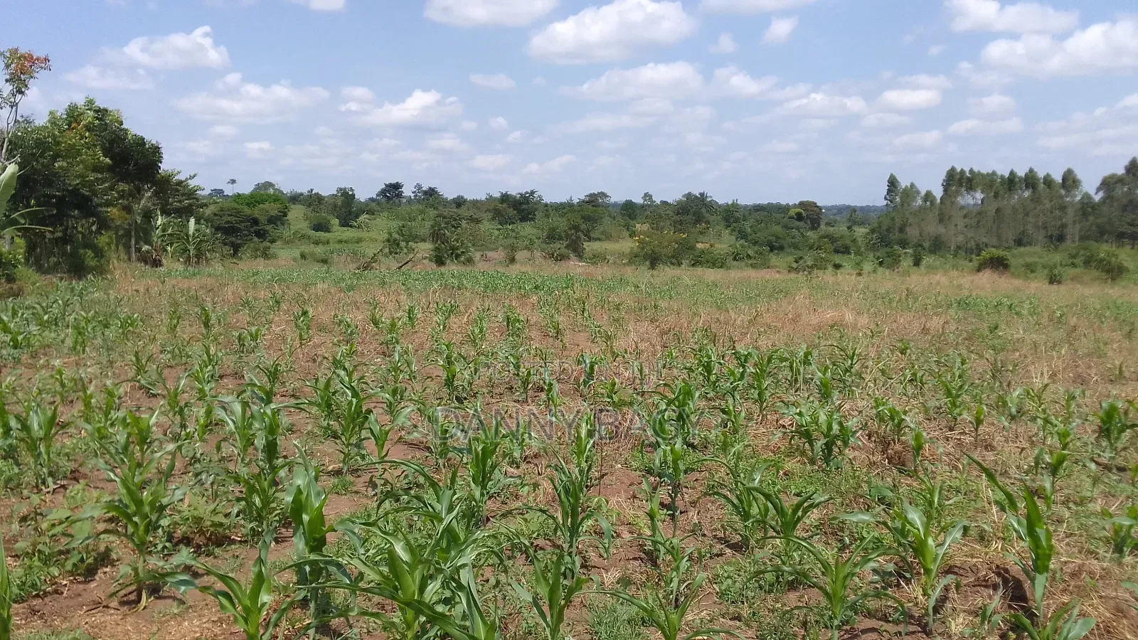 Farmand for Sale