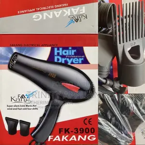 Fakang Hand Hair Dryer FK-3900