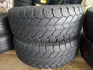 31×10.50R15 Rydanz Engineered in Europe