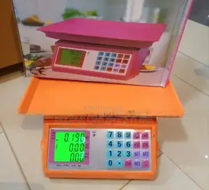 Multi-Purpose Price Computing Scale