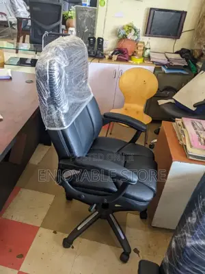 Executive Ergonomic Office Chair Office Chair