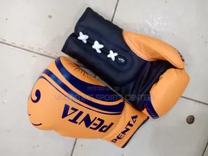 Penta Boxing Gloves Leather Original Material All Colors