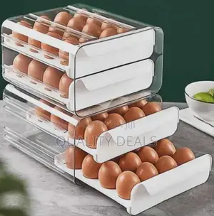 Double Layer Egg Storage Box