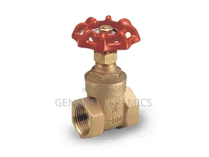 Gate Valve Both PPR and GI
