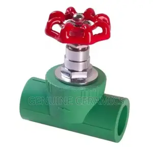 Gate Valve Both PPR and GI