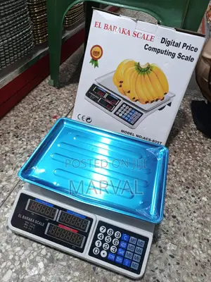 Digital Price Computing Scale