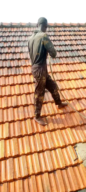 We Do Roof Cleaning
