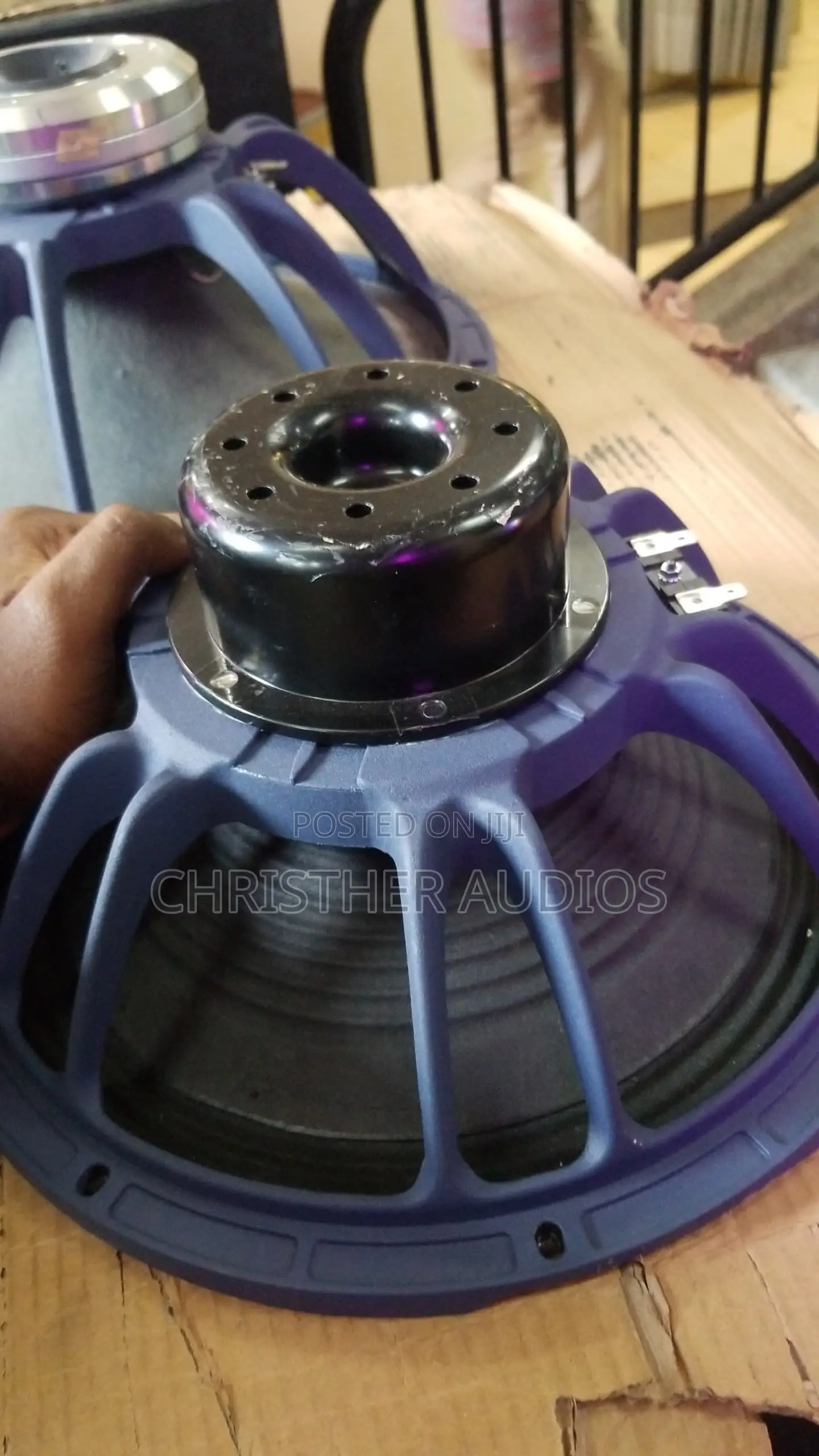12 Inch Neodymium Speakers