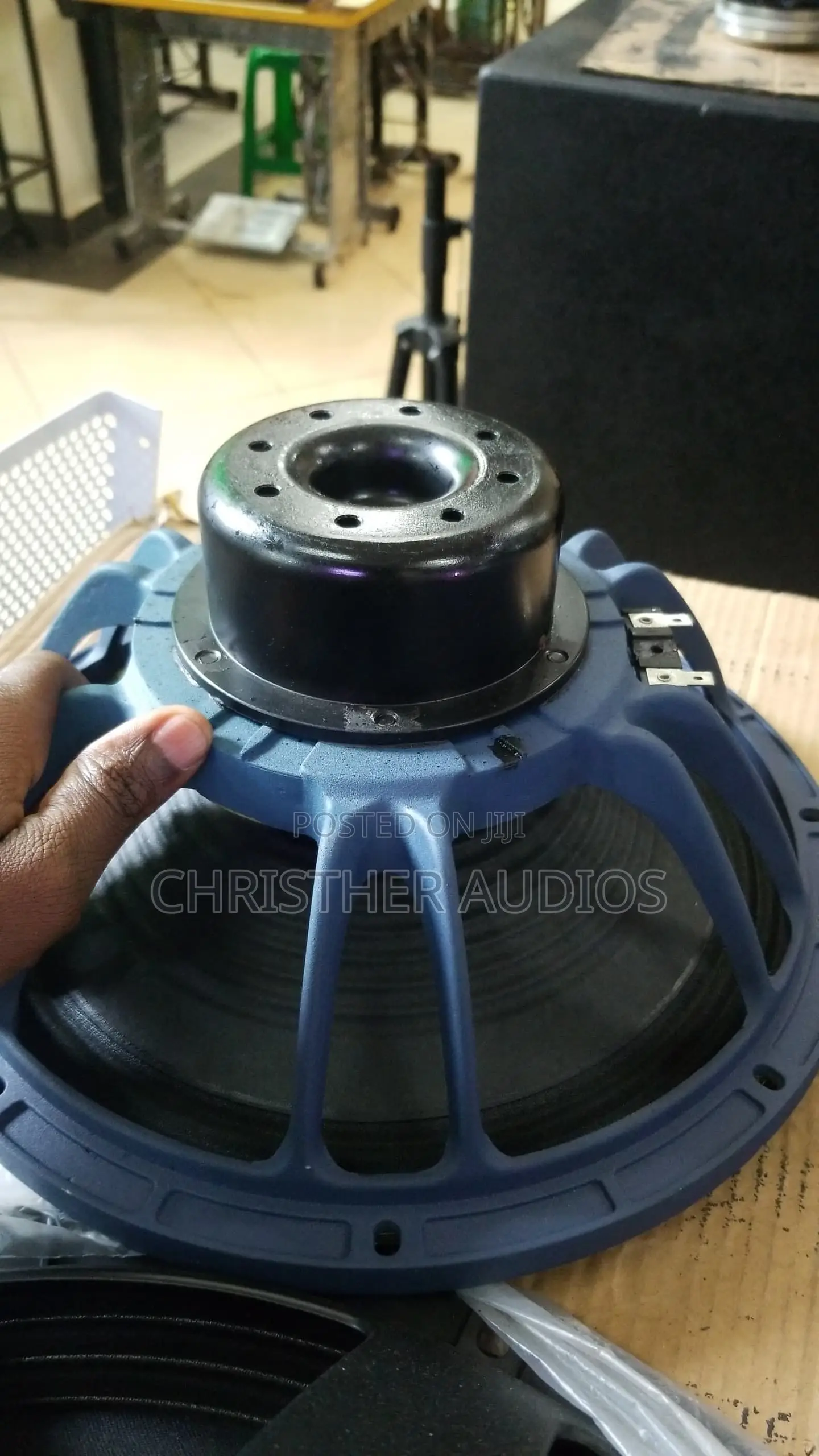 12 Inch Neodymium Speakers