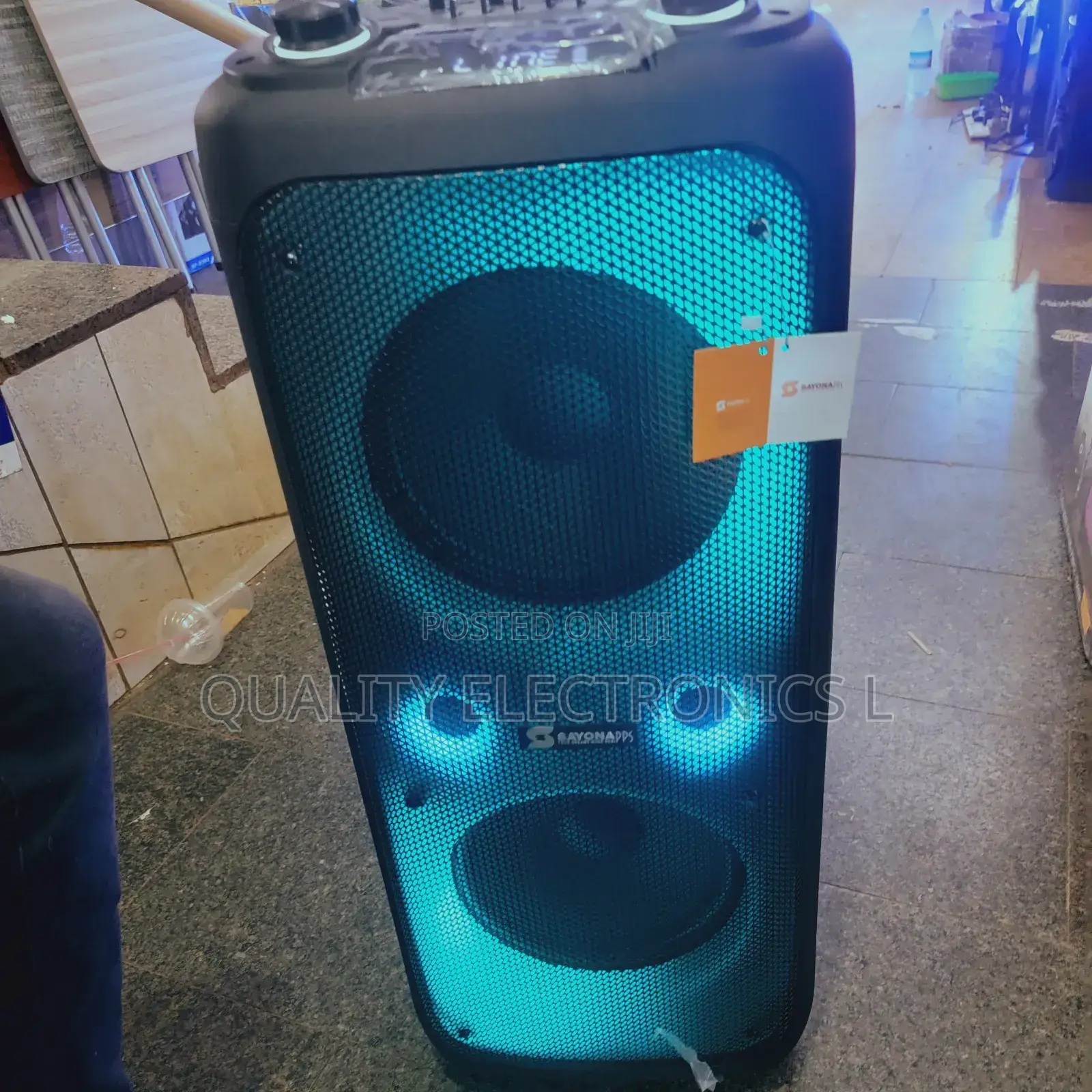 Sayona 10" Very Powerful Rechargeable Partybox Speakers