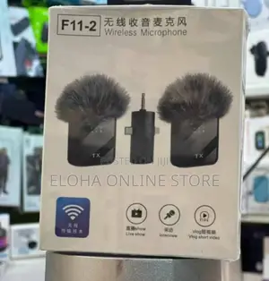 Double Wireless Microphone F11-2