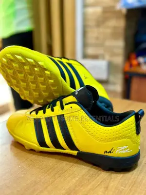 Addidas Fair Play/Shoes