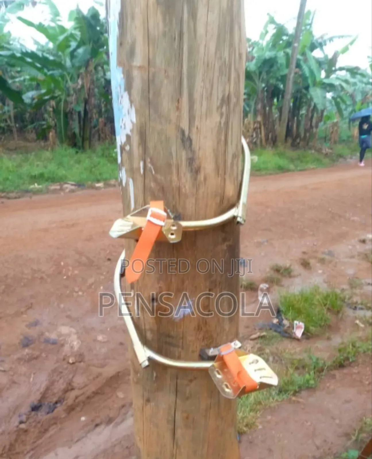 Pole Climbers( Both Wooden N Concrete Poles)