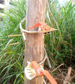 Pole Climbers( Both Wooden N Concrete Poles)