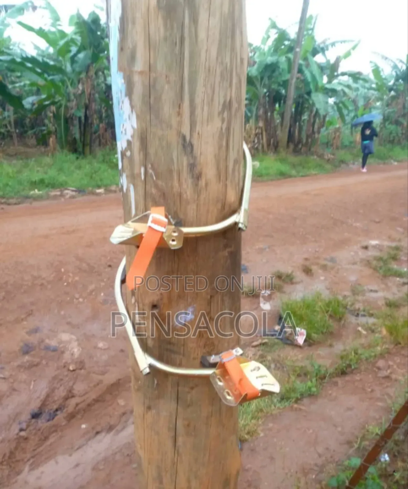 Pole Climbers( Both Wooden N Concrete Poles)