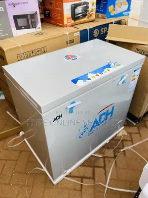 Silver 250L Deep Freezer
