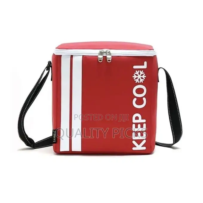10L Portable Thermal Insulated Travel Basket Cooler Bag