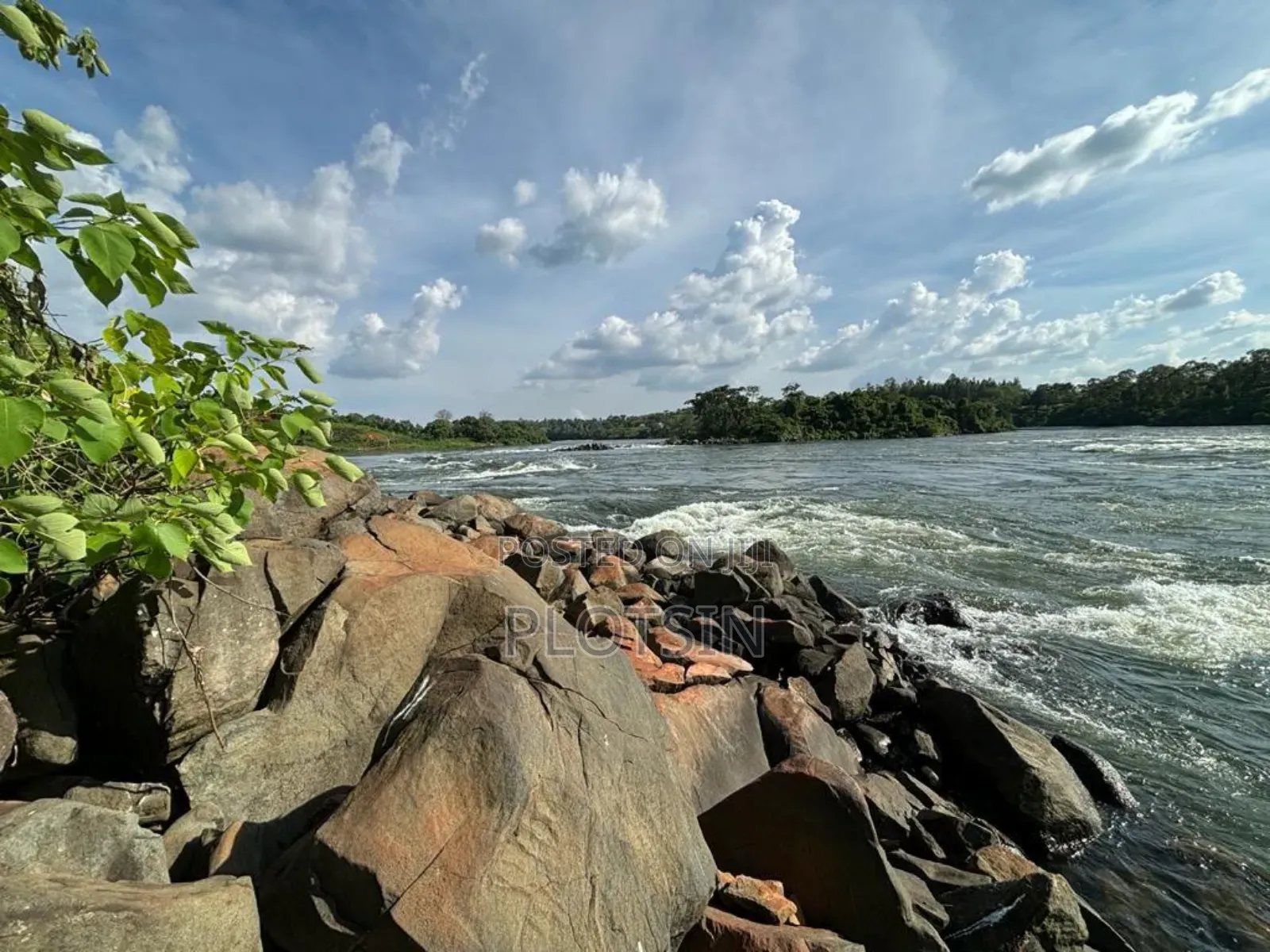 6.8 Acres Freehold Titled, Bujjowalo,On the Nile River, 260m Per Acre.
