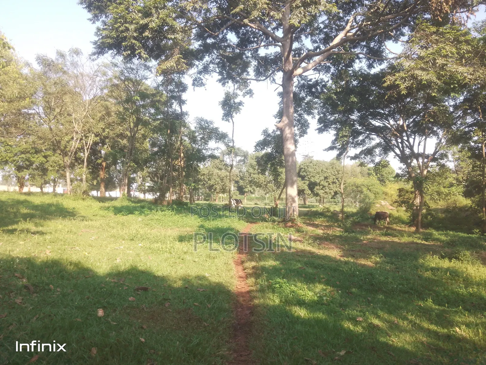 7 Acres Freehold Titled in Bujjowalo, Along the Nile River in Jinja