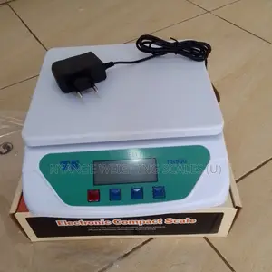 Where to Buy Digital Weighing Scale 30kg/1g Weigh Digital Weigh Scale