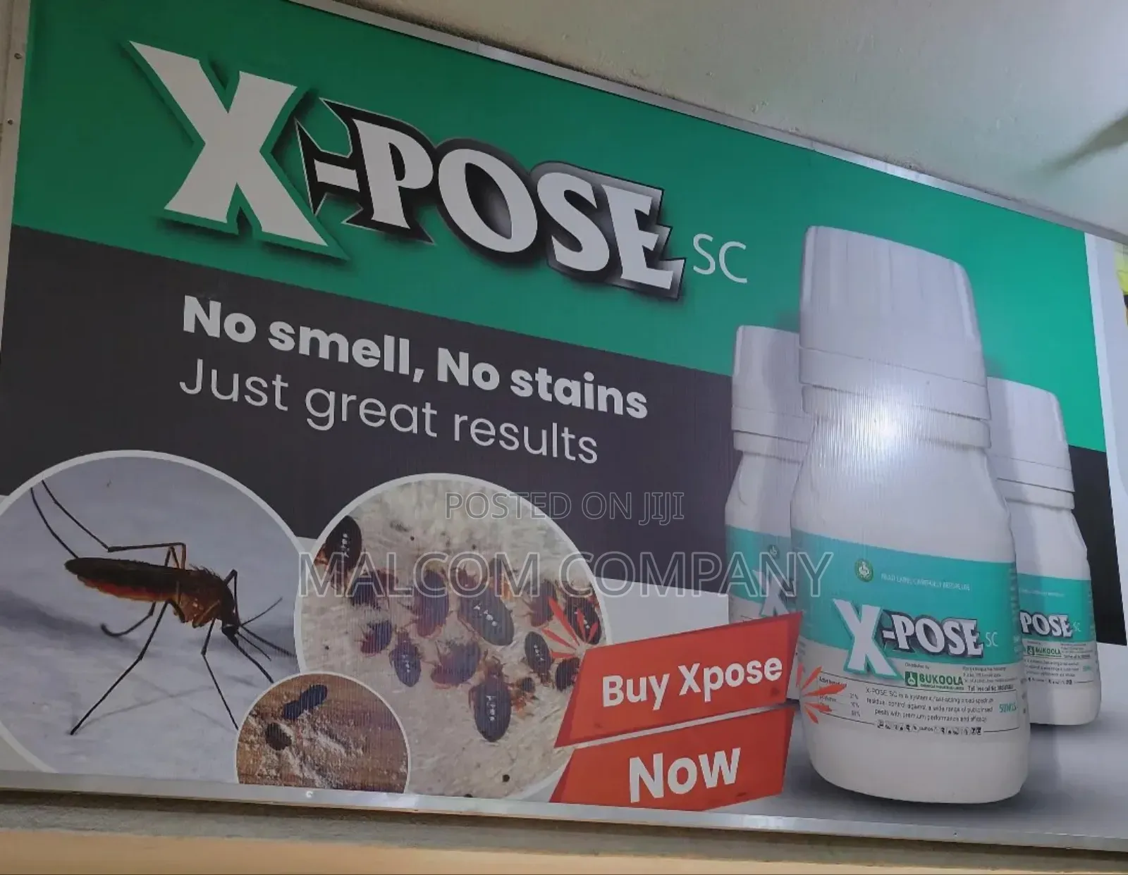 Wood Beetles and Weevil Chemicals.