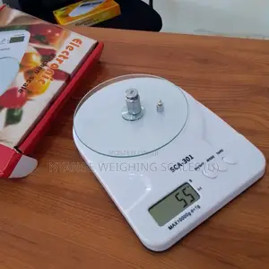 Digital Precision Weighing Scale