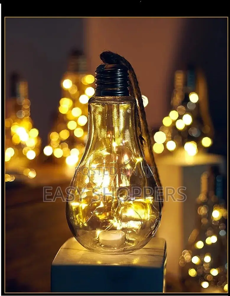 Rope Hanging Bulb With LED Fairy Lights for Indoor