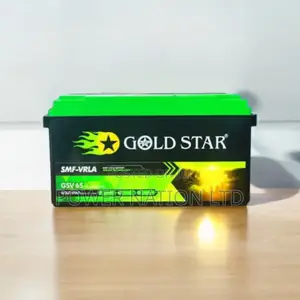 65ah Gold Star Backup Battery
