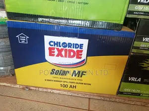 100ah Exide Solar/Backup Battery