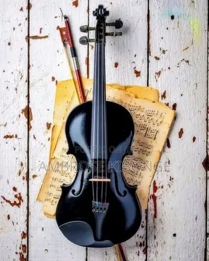 Black Original Clear Sound 4/4 Acoustic Violin Full Package