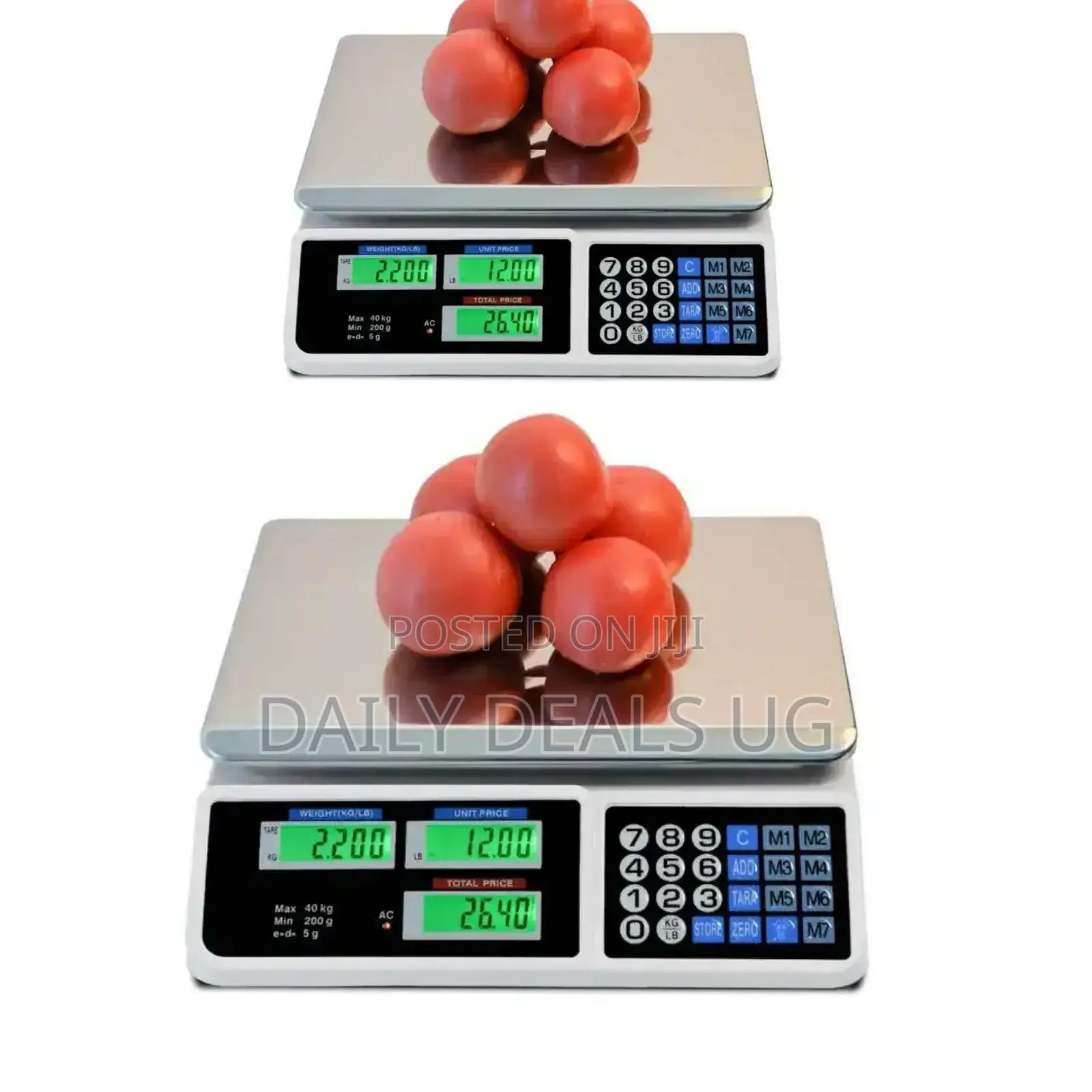 Computer Scale