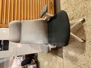 Mesh Ergonomic Chair