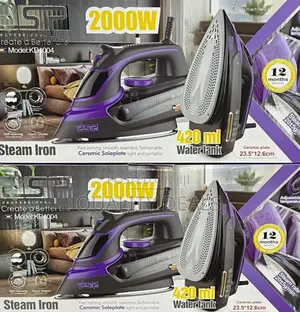 DSP Electric Steam Iron