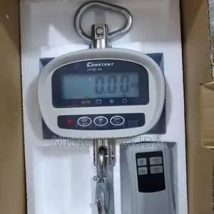 300kgs Remote Comercial Digtal Hanging Crane Weighing Scale