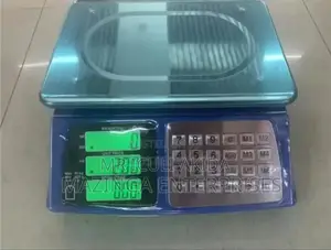 40kgs Digital Price Button Computing Kitchen Weighing Scale