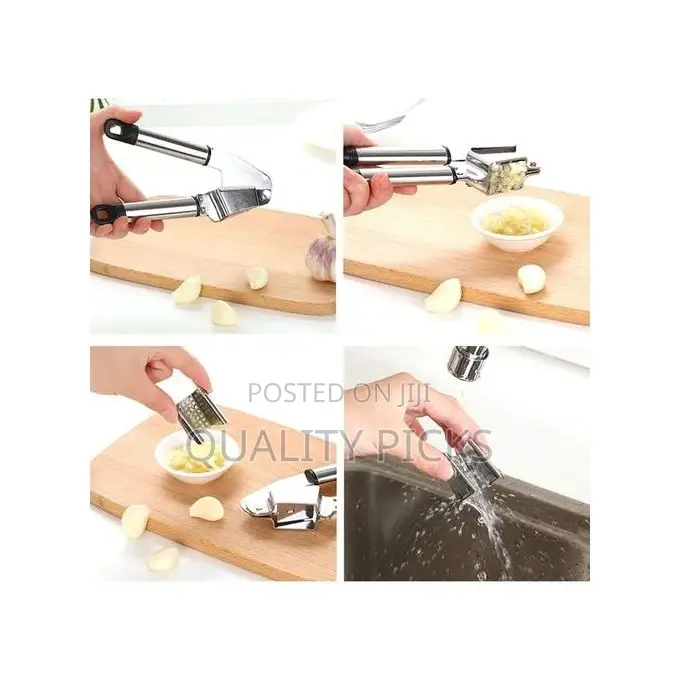Stainless Steel Garlic Presser Mincer-Silver