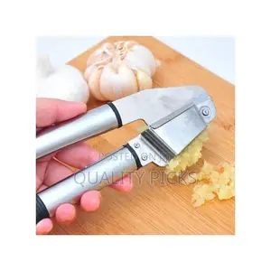 Stainless Steel Garlic Presser Mincer-Silver