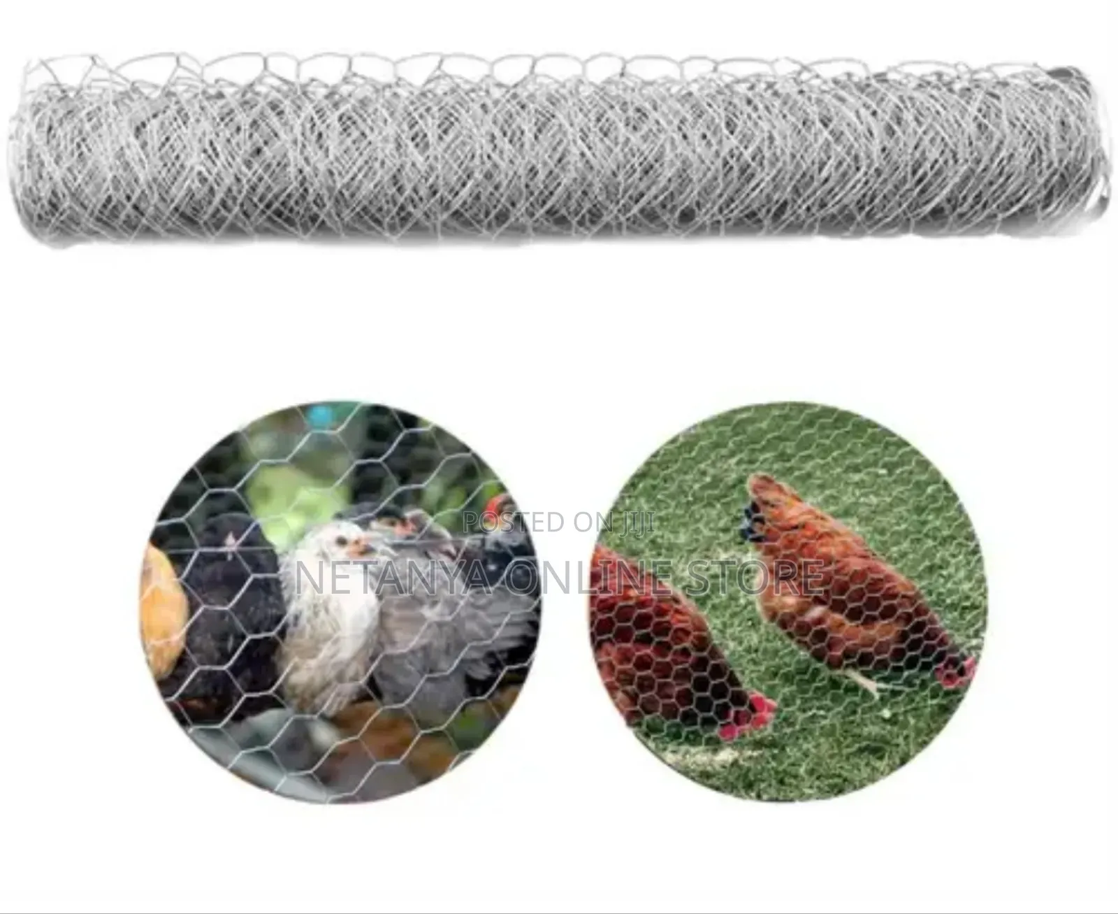 1*25m Galvanised Chicken Wire Mesh